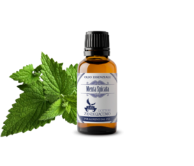 Olio Essenziale Menta Spicata