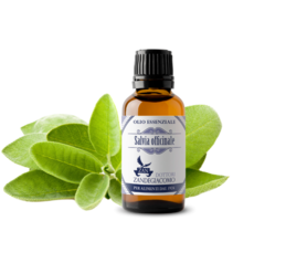 Olio Essenziale Salvia officinale