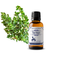 Olio Essenziale Timo Volgare