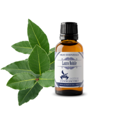 Olio Essenziale Lauro Nobile