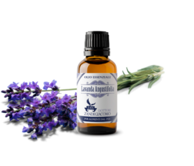 Olio Essenziale Lavanda Angustifolia
